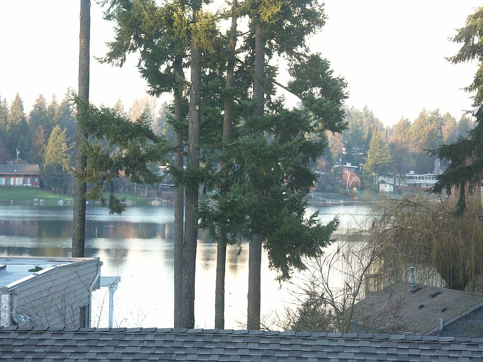 Lake view from LR