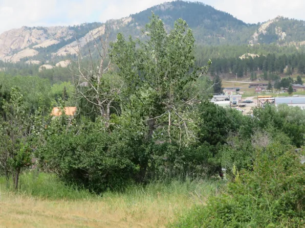 1022 Canal St, Custer, SD 57730