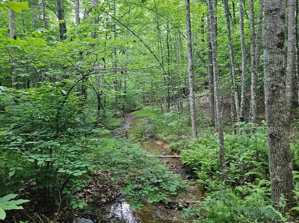 28 Christian Mill Creek Rd, Amherst, VA 24521