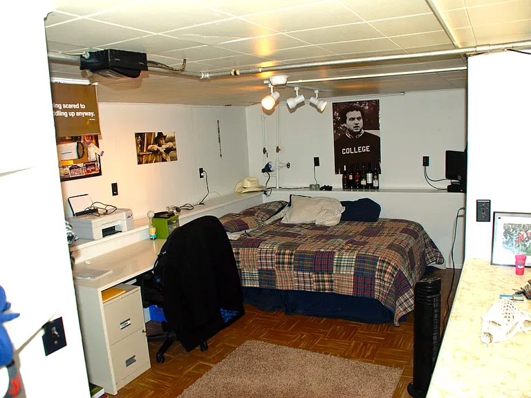 Lower level bedroom
