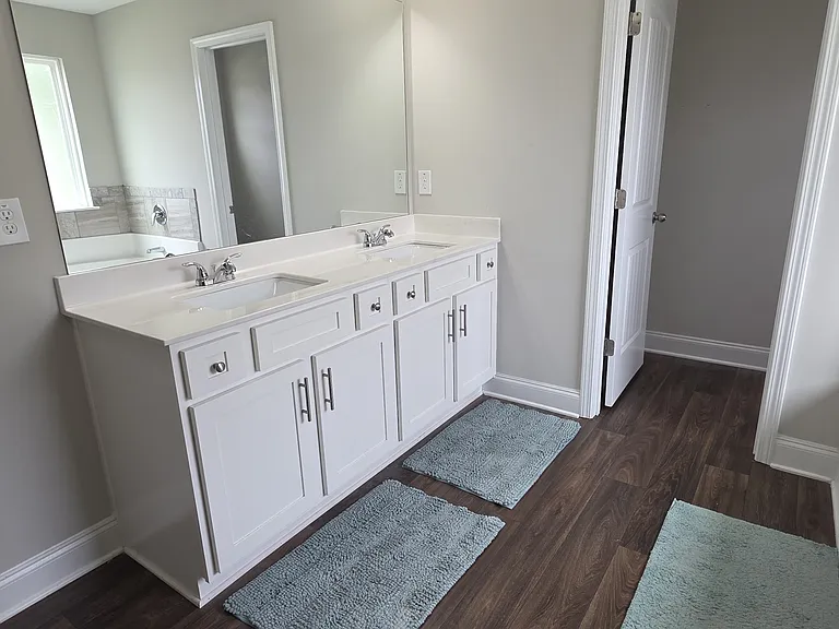 Master Bathroom Sink