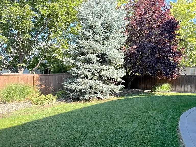 5267 N Mitchum Ave — Photo 27