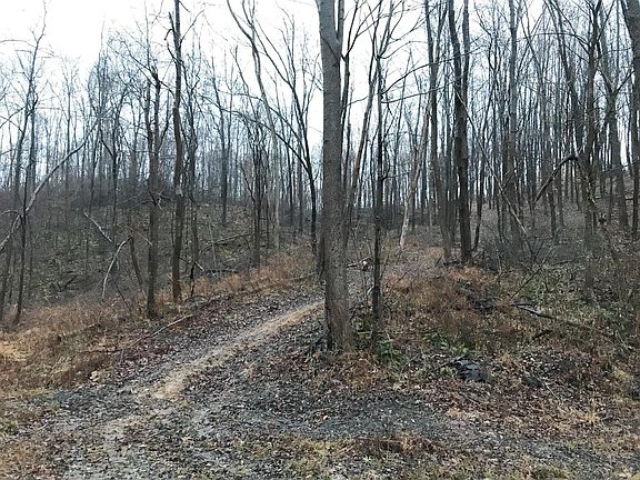 2nd image of 19312 Township Road 284