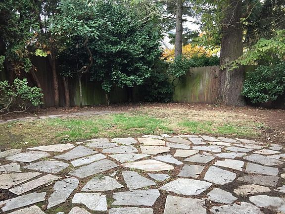 Back yard