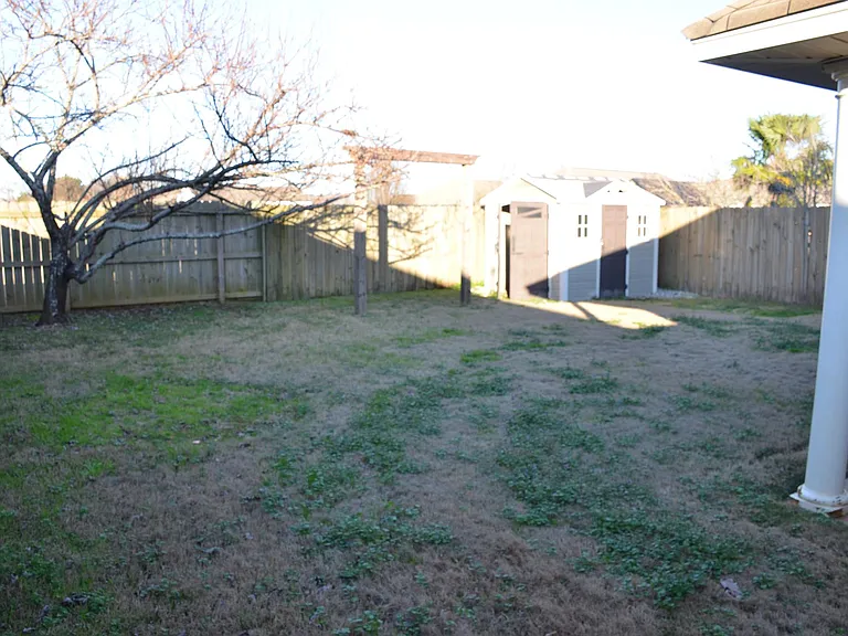713 Buena Vista Loop — Photo 8