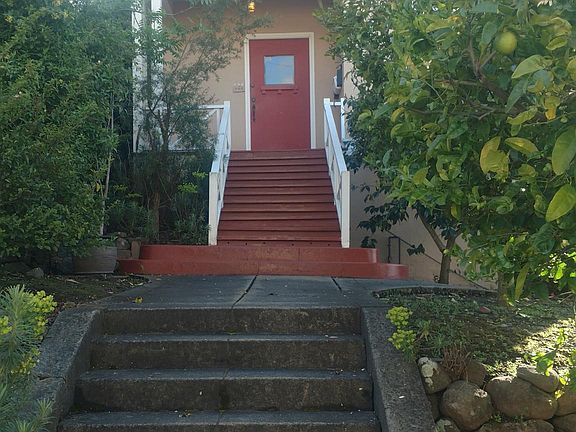 The front yard has strawberries, a lemon tree, a pomelo tree and a peach tree.
