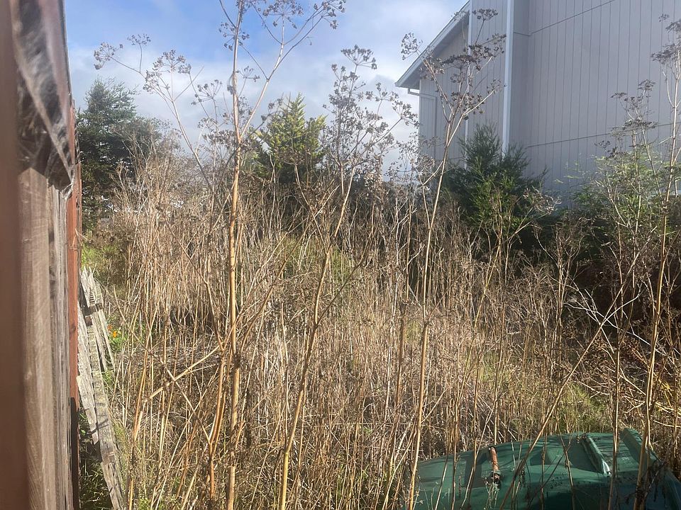 2nd image of 345 Granelli Ave