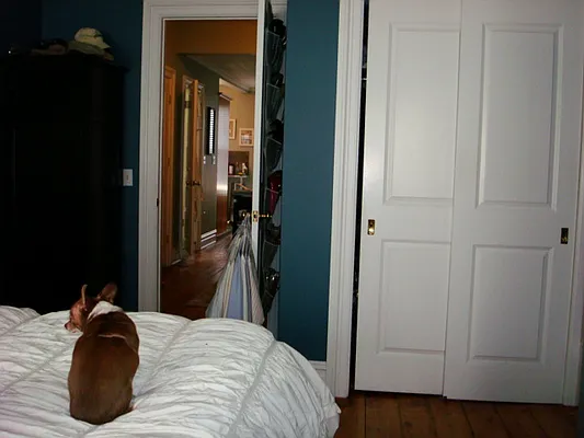 Rented by Kirsten Syrett, Lreb | media 12