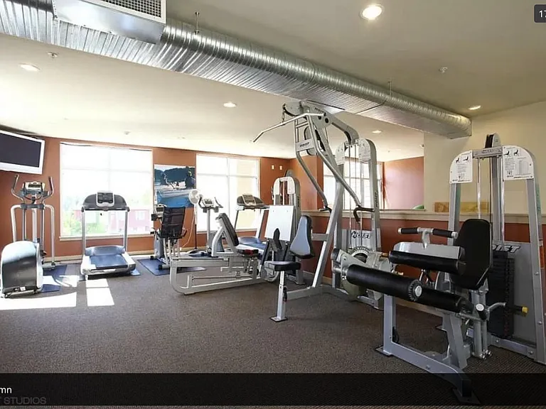 Gymn