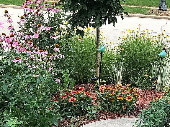 Landscaping in bloom