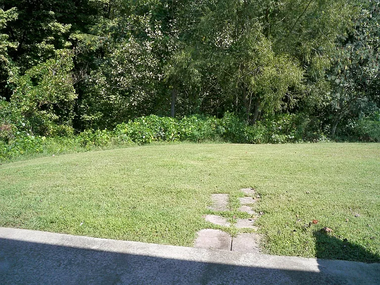 1225 Ash Ridge Dr #A — Photo 8