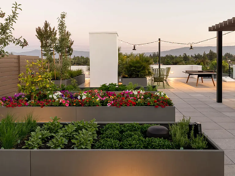 Rooftop Lounge