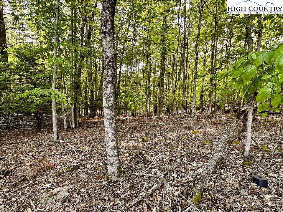 2nd image of 805 Pine Ridge Road