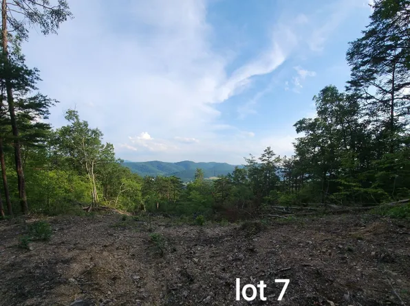 3031 Reese Mountain Rd, Elliston, VA 24087