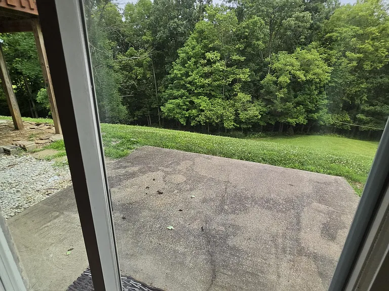 view from basement walk out