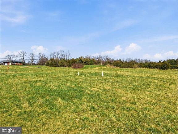 3rd image of 10593 Letzburg Rd