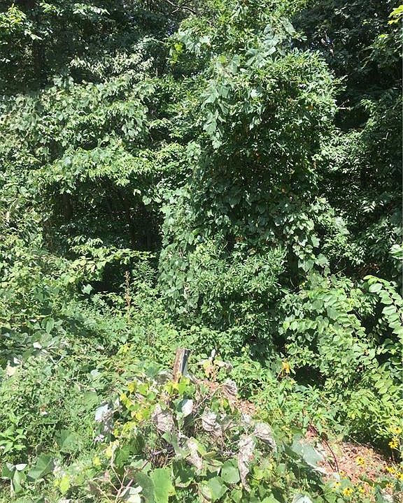 2nd image of Brecknock Dr