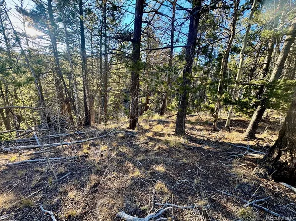 lot 5888 Loubier Road, Fort Garland, CO 81152