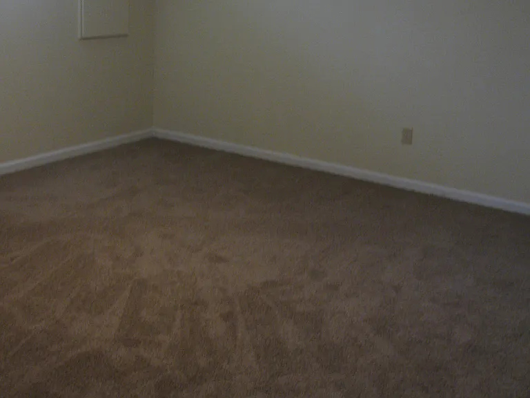 6459 Blackhaw Dr — Photo 8
