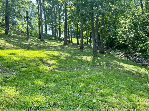 534 Bonnevista Dr, White Pine, TN 37890