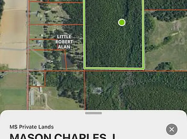 2672 Dickerson Sawmill Rd, Lucedale, MS 39452