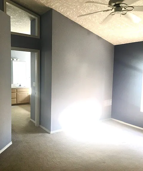 Spacious Primary with vaulted ceilings