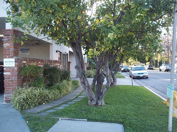 5th image of 5929 Laurel Canyon Blvd