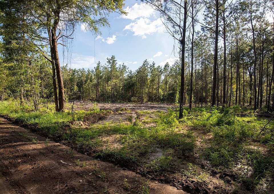 1st image of 345 County Road 2565