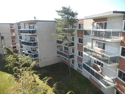 751 Pine St #109 — Photo 25