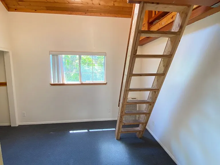 6564 Del Playa Dr — Photo 11