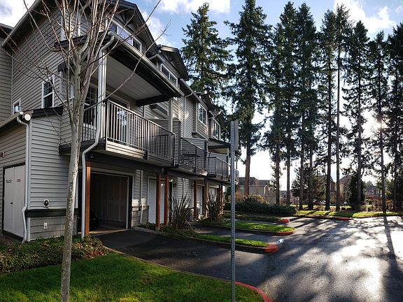 Green space next to the house.