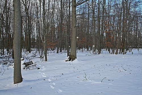 backyard view...no rear neighbors!