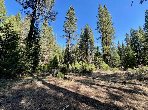 1651 Woodpecker Rd, Clio, CA 96106