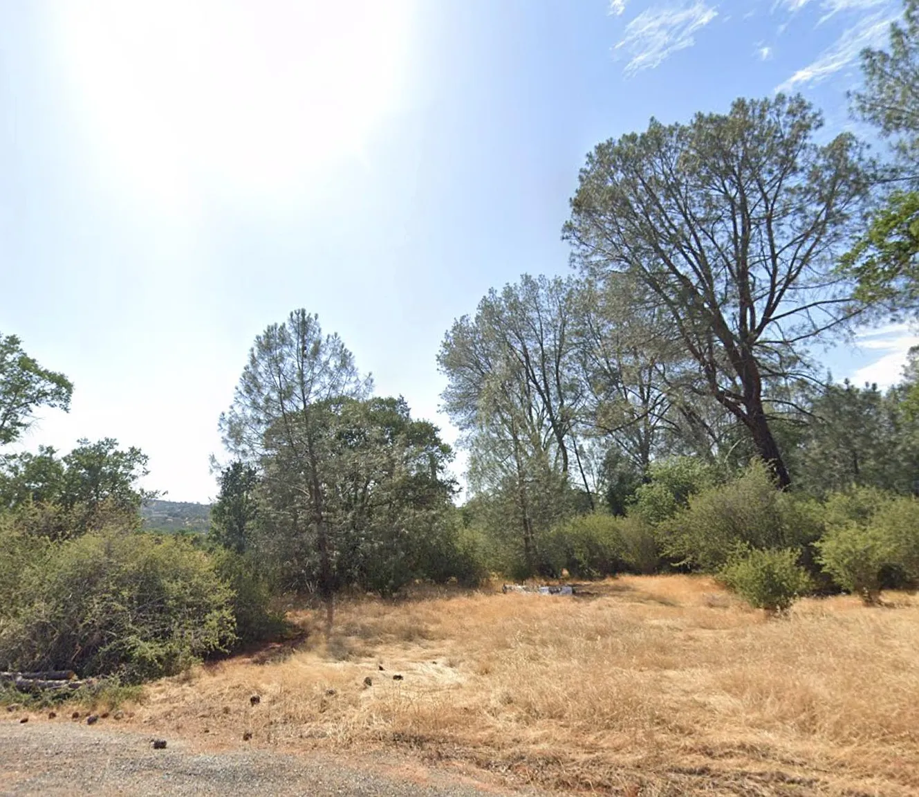 590 Pinon Dr photo 1