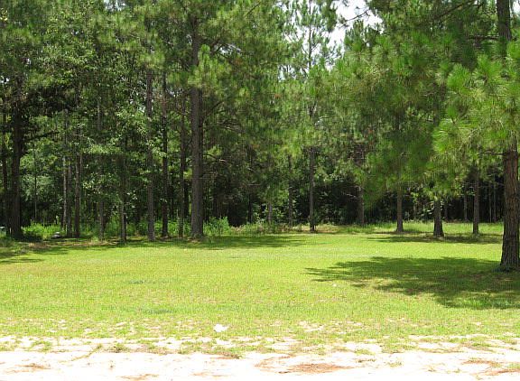 5th image of 2664 Lake Virginia Dr