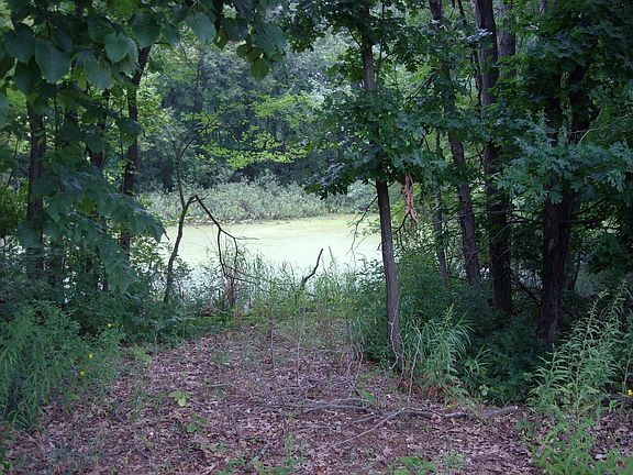 View of Pond and Frontage