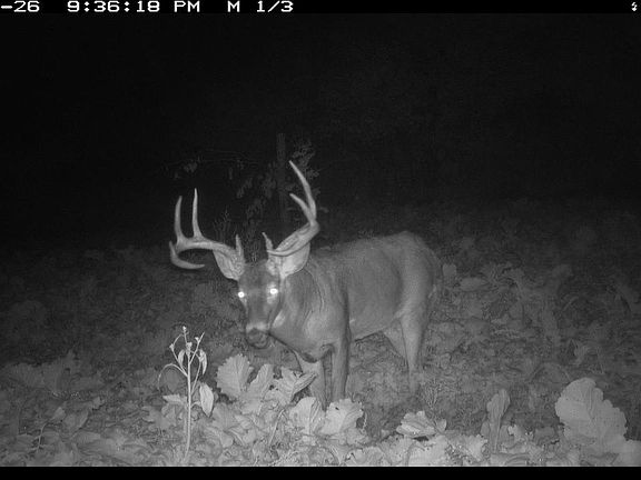 4th image of 00 Wheat Hollow Road