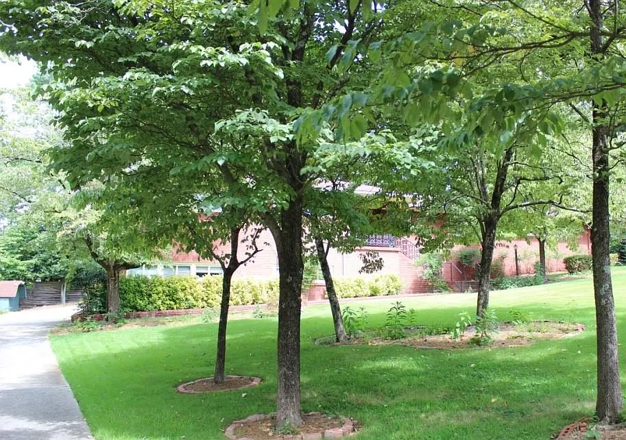 5 bed, 3.0 bath, 4400 sqft, $3,850 — Photo 4