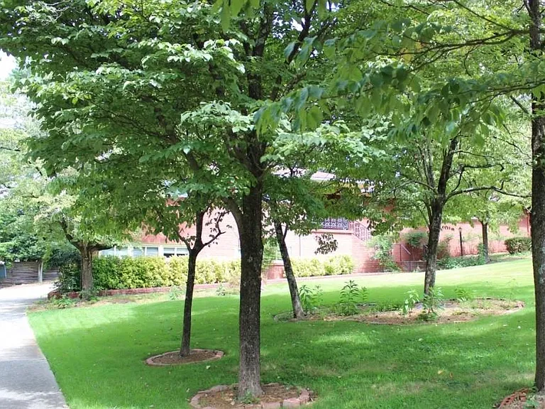 3872 Orchard Rd SE — Photo 4