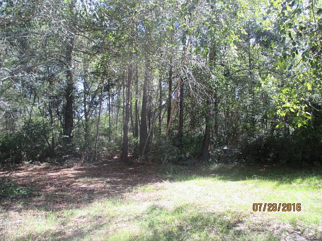 1st image of 255 Bird Dog Ln