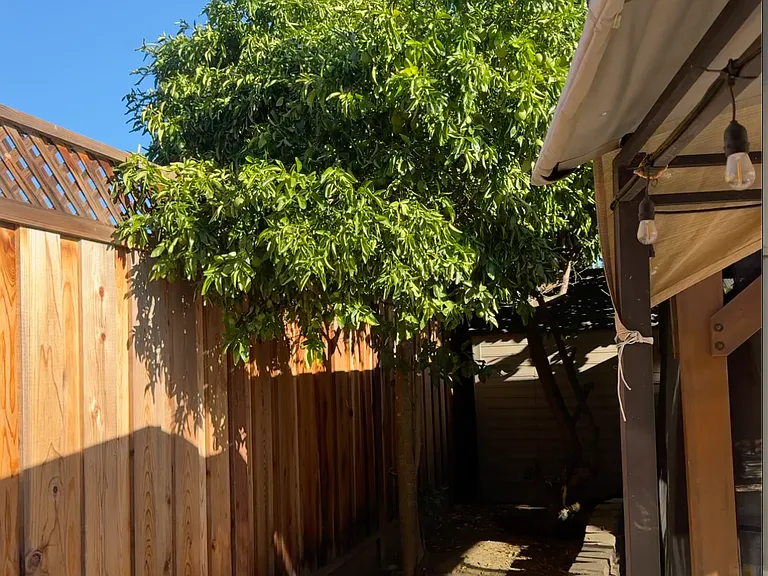 4104 Amos Way — Photo 5