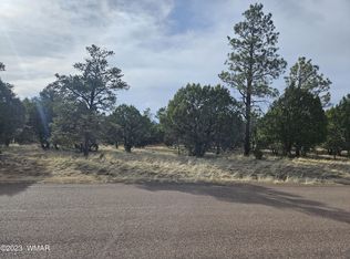 2870 Constellation Ln, Overgaard, AZ 85933