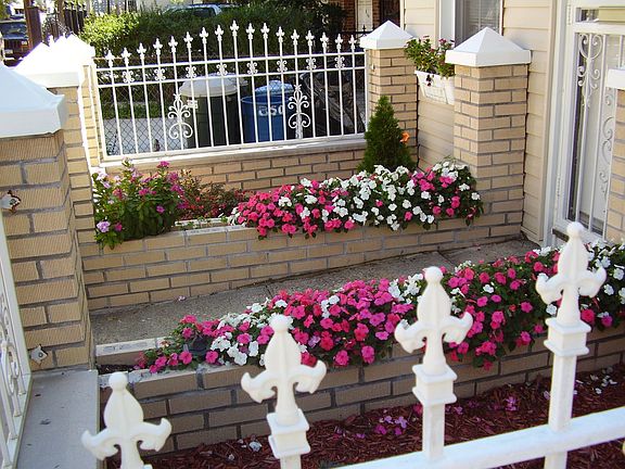 front garden