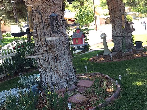 Front yard
