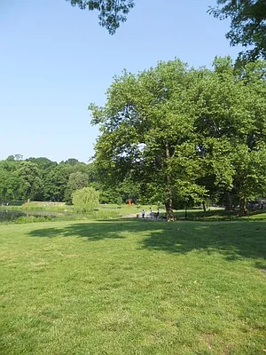 Sold by Willie Kathryn Suggs, LREB | media 11