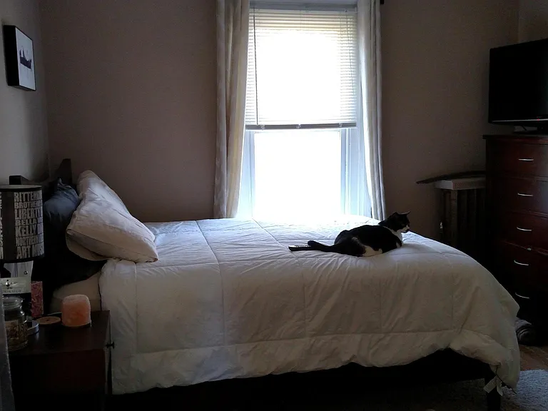 145 Cedar Ave #B — Photo 3