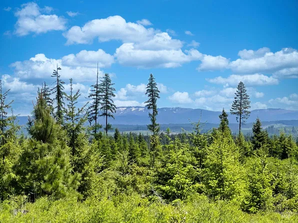 0 Timberline Hts Parcel 4, Weippe, ID 83553