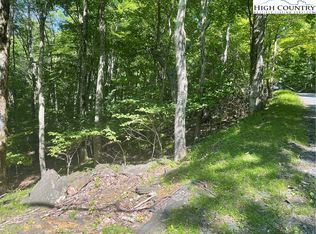 125 Gorge Overlook Rd, Todd, NC 28684