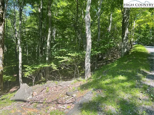 TBD Lot 125 Gorge Overlook Road, Todd, NC 28684