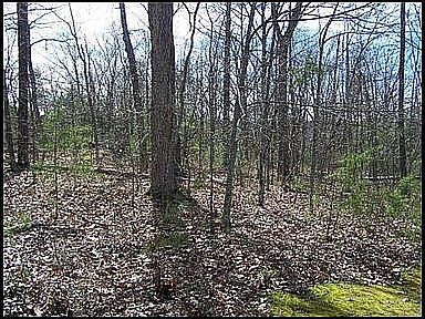 2nd image of 101 Cathedral Dr